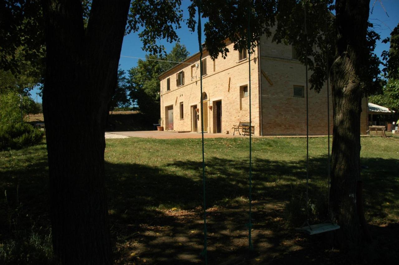 Fattoria Nonno Neno B&B Appignano  Ngoại thất bức ảnh
