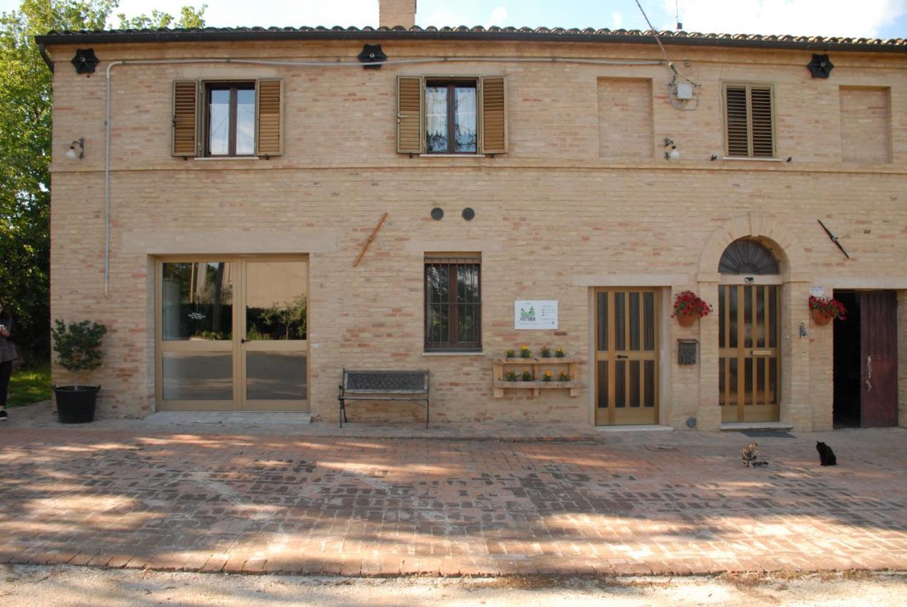 Fattoria Nonno Neno B&B Appignano  Ngoại thất bức ảnh