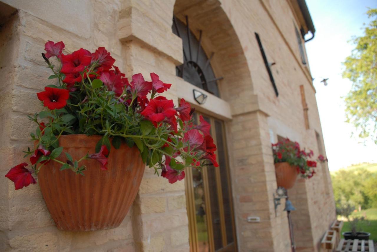 Fattoria Nonno Neno B&B Appignano  Ngoại thất bức ảnh